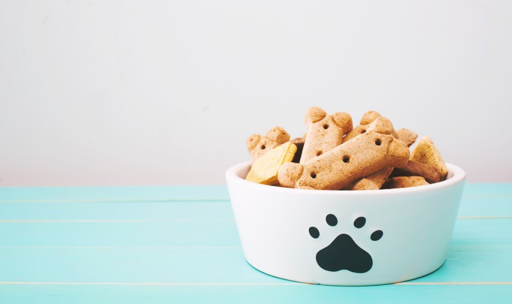 Bowl with biscuits for dogs